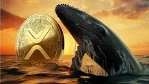 آخرین وضعیت بازار رمزارزها در جهان