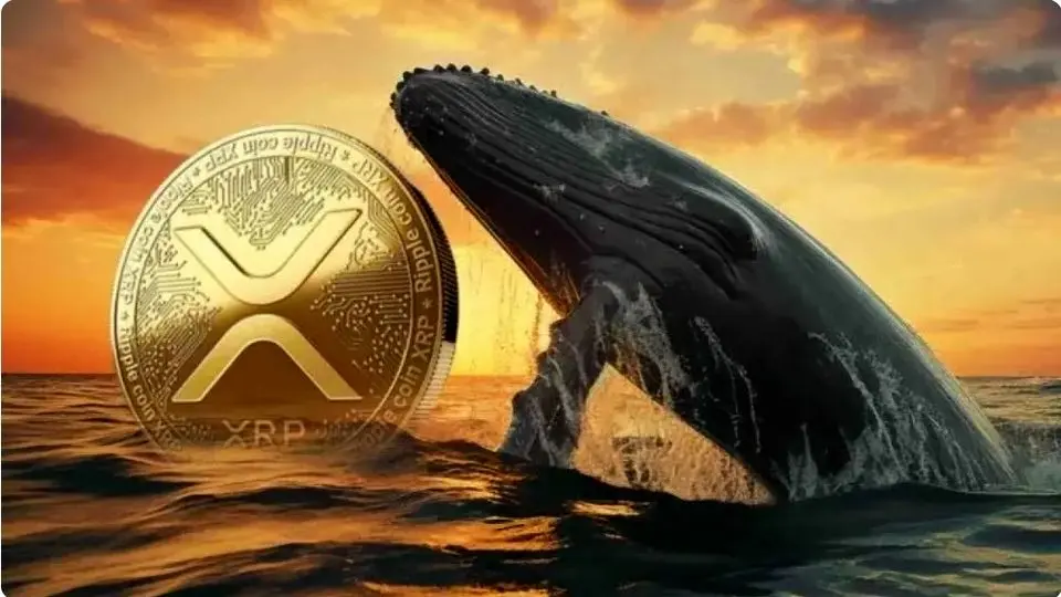 نهنگها در ریپل فعال شدند/ پیشبینی قیمت ریپل