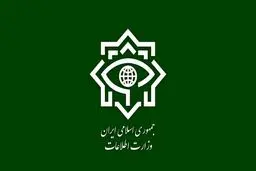 ضربه سنگین به شبکه گسترده قاچاق سوخت