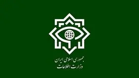 ضربه سنگین به شبکه گسترده قاچاق سوخت