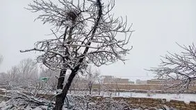 برف بهاری در بخش هایی از اصفهان+عکس