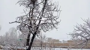 برف بهاری در بخش هایی از اصفهان+عکس