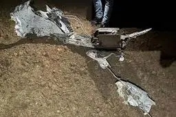 علت سقوط هواپیمای رئیس ستاد ارتش لیبی اعلام شد