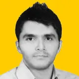 رضا نامجو