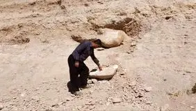 سایت فسیلی با قدمت ۷ میلیون سال کشف شد 