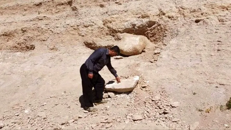 سایت فسیلی با قدمت ۷ میلیون سال کشف شد 