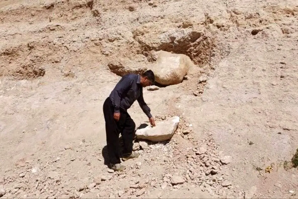 سایت فسیلی با قدمت ۷ میلیون سال کشف شد 