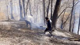 آتش جنگل های گلستان مهار شد