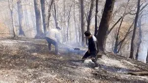 آتش جنگل های گلستان مهار شد