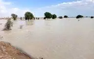 آخرین وضعیت امدادرسانی در مناطق سیل‌زده/ محاصره برخی روستاهای سیستان و بلوچستان در سیل