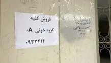 چرا بازار فروش کلیه داغ شد؟ 