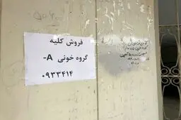 فروش کلیه از ۱۲۰ تا ۲۵۰ میلیون در شهرستان‌ها/ «کسی که کلیه اهدا می‌کند احتمالاً قصد دارد ماشینی بخرد یا خانه رهن کند»