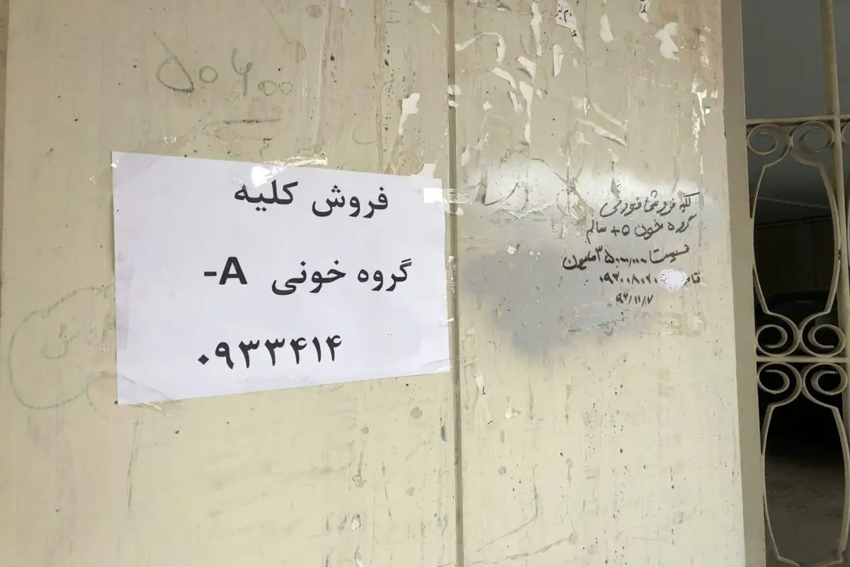 چرا بازار فروش کلیه داغ شد؟ 