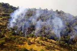 آتش در جنگل‌های هیرکانی خیبوس سوادکوه مهار شد