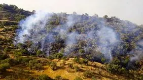 آتش در جنگل‌های هیرکانی خیبوس سوادکوه مهار شد