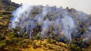 آتش در جنگل‌های هیرکانی خیبوس سوادکوه مهار شد