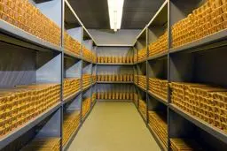 واردات بیش از دو تن طلا از چین 