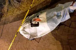 کشف جسد در معدن