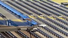 ورود ناگهانی یک روباه به استادیوم فوتبال+ ویدئو