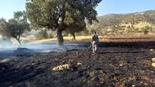 آتش‌سوزی انبار نفت تکذیب شد/ آتش‌سوزی در انبار شرکت خصوصی ادامه دارد  