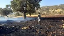 دلیل آتش‌سوزی منطقه حفاظت شده در ایلام  چه بود ؟
