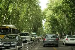 بلایی که زاکانی سر خیابان ۱۰۰  ساله تهران آورد؛ ولیعصر تغییر چهره داد!/ عکس