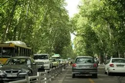بلایی که زاکانی سر خیابان ۱۰۰  ساله تهران آورد؛ ولیعصر تغییر چهره داد!/ عکس