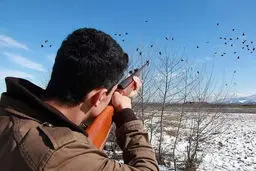 صدور پروانه شکار؛ آتش در انبار کاه