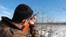 صدور پروانه شکار؛ آتش در انبار کاه