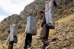 آقای وزیر کشور! شب گذشته چند کولبر در منطقه اورامانات زخمی شدند/ نمی‌توان کولبری را هم تعطیل کرد، چون چاره‌ای نیست

