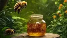 خرید عسل طبیعی از هاچ لند