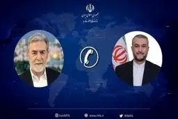 Iran vows to continue political support for Palestine