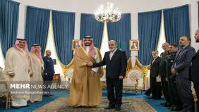 دیدار وزیر دفاع عربستان با دبیر شورای عالی امنیّت ملی