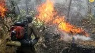 آب‌رسانی به حیوانات در جنگل‌های آتش گرفته مریوان/ ویدئو

