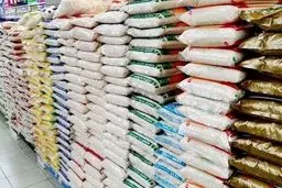 سقوط قیمت برنج هندی