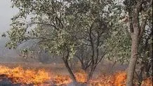 آتش‌سوزی جنگهای مهران 