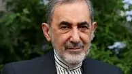 ولایتی: ملت ایران هرگز در برابر فشار، تهدید و تجاوز تسلیم نخواهد شد

