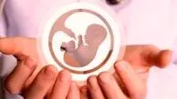 وزارت بهداشت: چیزی تحت عنوان «گشت بارداری» وجود ندارد