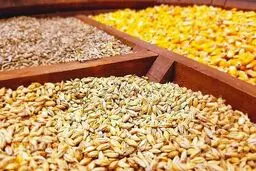 تحویل مدت‌دار نهاده دامی به مرغداران تصویب شد