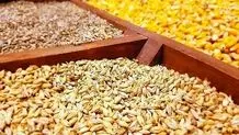 ورود مجلس به افزایش قیمت نهادههای دامی و کالری سفرههای مردم