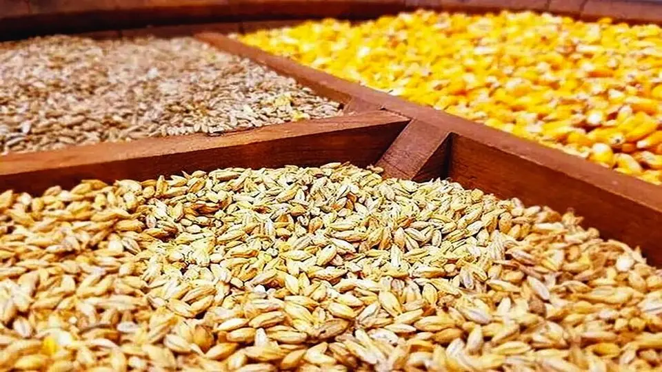 اطلاعیه جهاد کشاورزی برای ابطال ثبتسفارشهای راکد نهادههای دامی