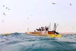صید ماهی ساردین و مرکب ممنوع شد 