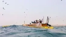 صید ماهی ساردین و مرکب ممنوع شد 