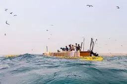 صید ماهی ساردین و مرکب ممنوع شد 