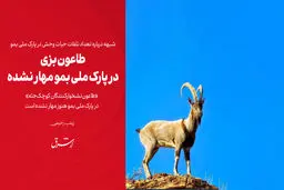 طاعون بزی در پارک ملی بمو مهار نشده