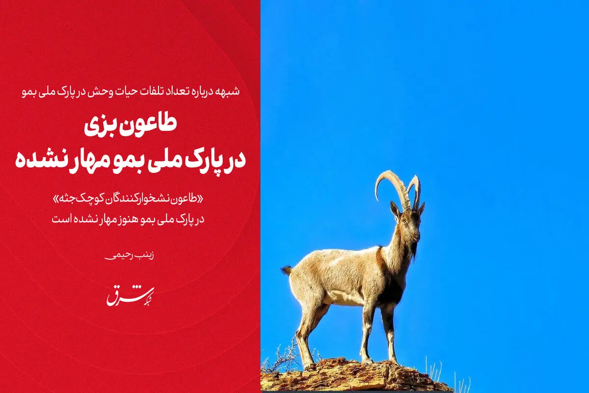 طاعون بزی در پارک ملی بمو مهار نشده