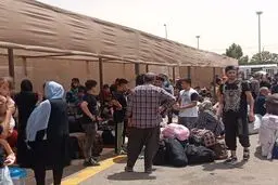 حمایت ویژه از مهاجران؛ توزیع ۱۰۰ تن کالا توسط ستاد اجرایی