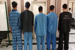 ۶ عضو یک باند کلاهبرداری فروش خودرو‌های تصادفی بازداشت شدند