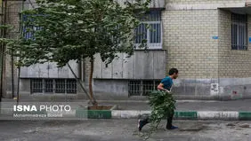 پیش بینی هوای تهران سه شنبه 20 خرداد/احتمال وقوع طوفان تندری در تهران