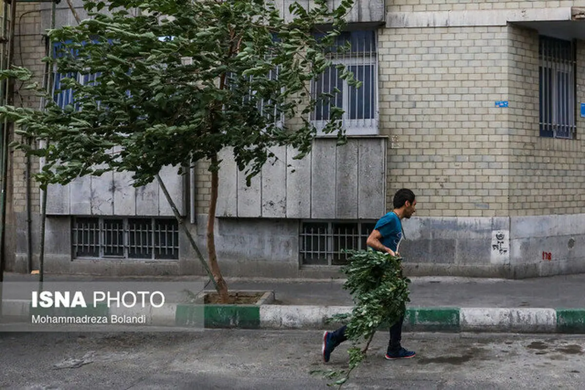 پیش بینی هوای تهران سه شنبه 20 خرداد/احتمال وقوع طوفان تندری در تهران